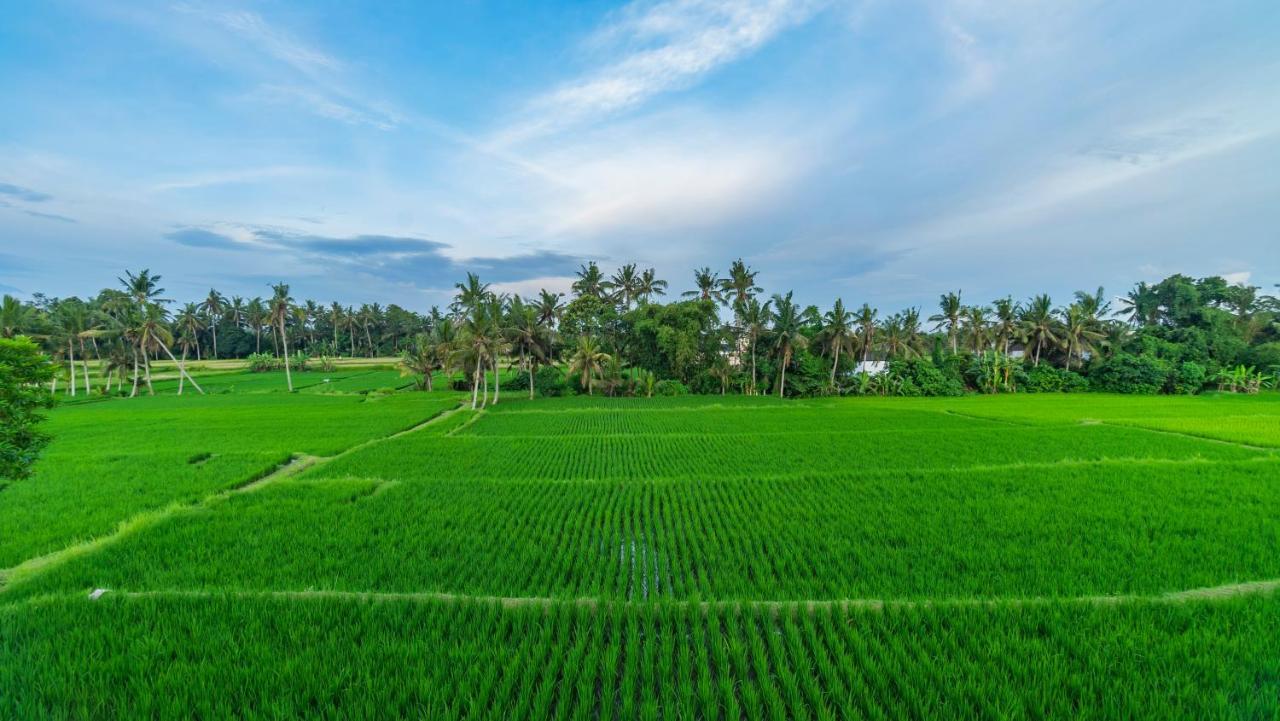 Maruan Sari Appartement Ubud Buitenkant foto