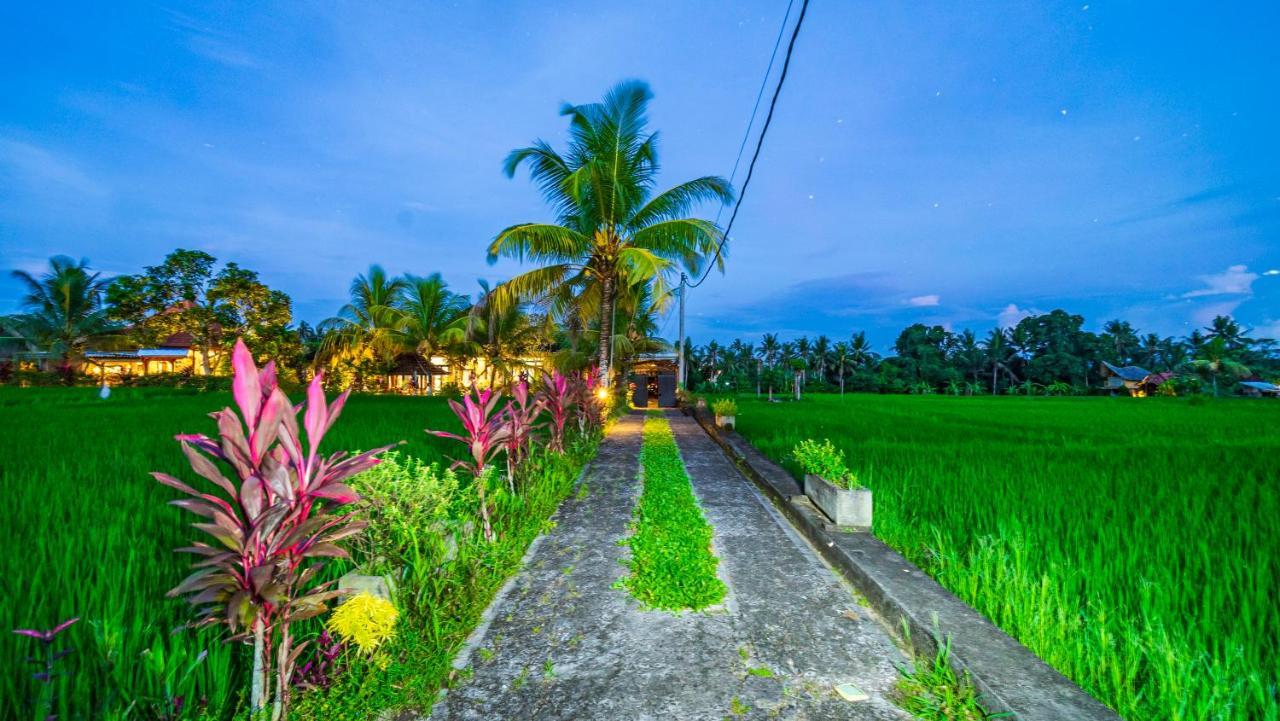 Maruan Sari Appartement Ubud Buitenkant foto